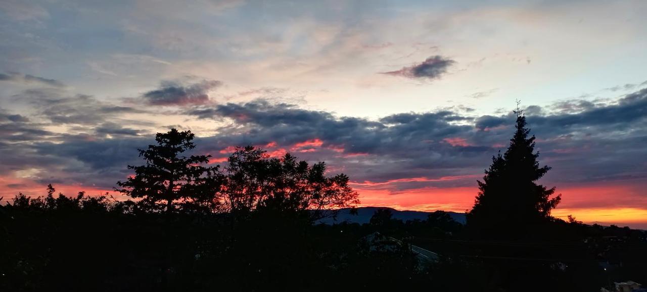 Montevideo Boutique Homestay Shillong Exteriör bild